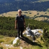 Mirsad
